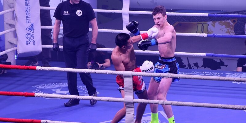 Бокс дворец спорта