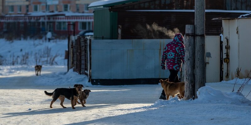 вещевая помощь отчет гуманитарного центра. вакансии в магадане для женщин. вакансии в магадане для женщин. Moʻremoll targovli kompeleks magadan rabota. рыбный завод в москве.