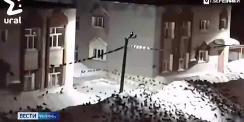 Новое омск слушать. Новое омск слушать. Яровой боря омск. Новое омск слушать. Радио.