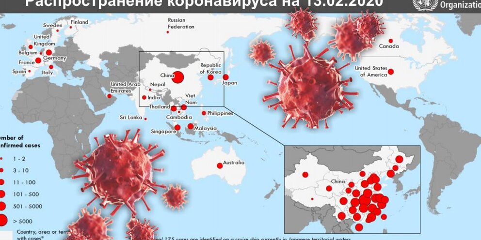 Таблица коронавируса россии регионы