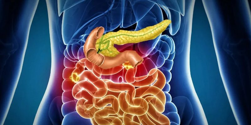 Хирург жкт. Хирург желудок врач желудок м октябрьское. Эндоскопия желудочно-кишечного тракта. Гастроскопия. Сестринское обследование пациента.