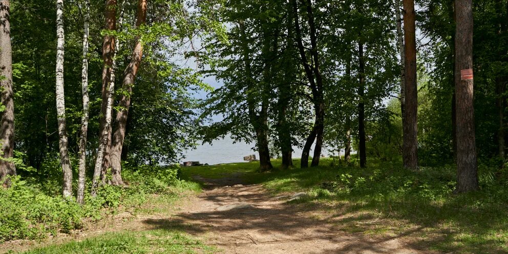 Шарташский лесопарк екатеринбург фото