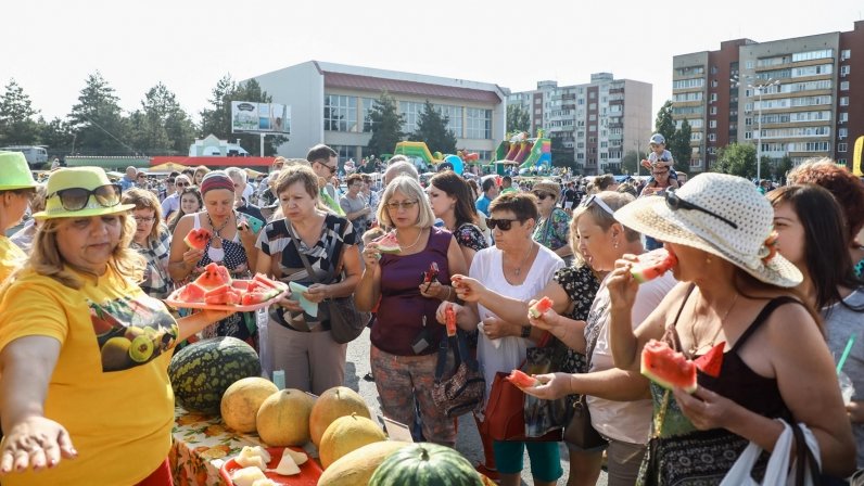 Быковский арбуз фото