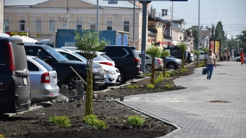 На тамбовском Арбате высадят пальмы - МК Тамбов