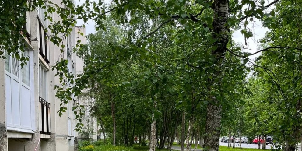 Ук полярные зори. Козырек подъезда. Полярные зори. Полярная 16 площадка. Ломоносова 16 полярные зори.