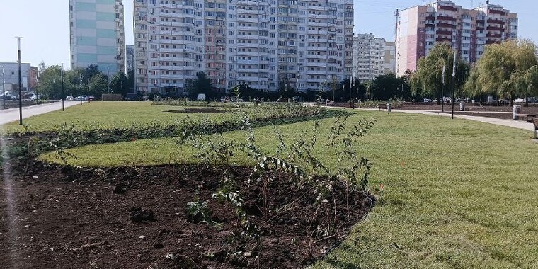 В этом году в Краснодаре начнут благоустройство сквера в Молодежном микрорайоне 