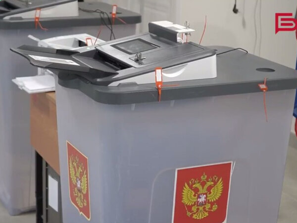 Явка на выборах в белгородской 2024