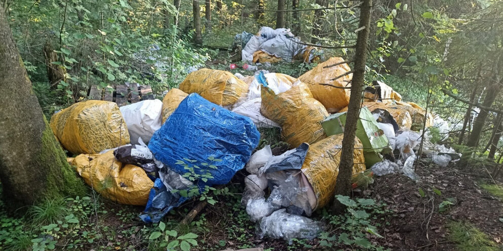 Лес завалило. Завал в лесу. Мусорка рядом с лесом. Растения и животные не могут жить рядом со свалкой