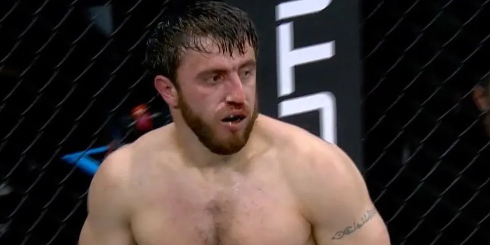 Магомед магомедов. Сломанные легенды. Мурад гулиев мма. Сломанные легенды. Сломанные легенды.