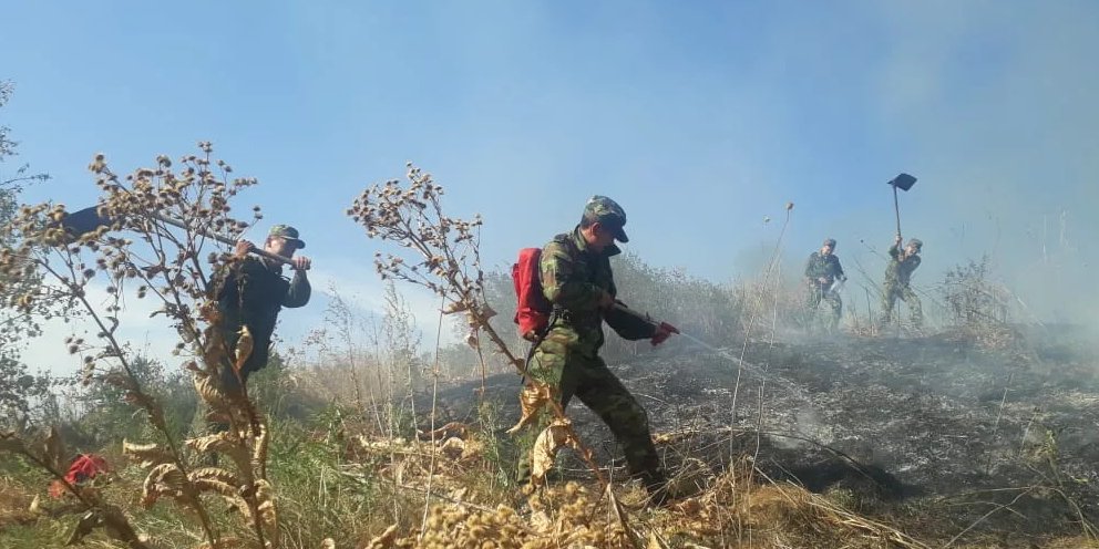 пожарник тушил коноплю