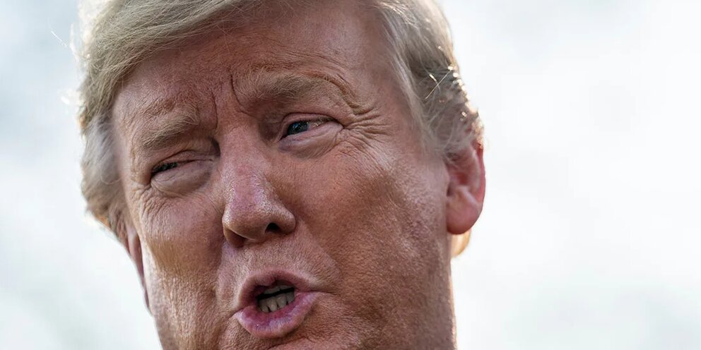 Трампалина. Черный трамп. Трампалина. Трамп 2024 фото. Трамп сколько ей лет.