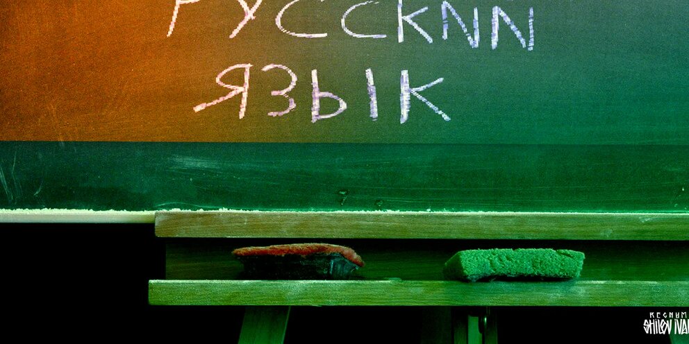 Названы сферы деятельности Латвии, где будет запрещено общаться на русском