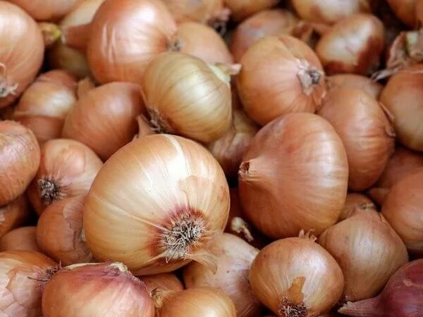 Луковая заливка. Лук цибуля. Лук в маринаде. Нарезанный лук в миске. Маринованный лук в банке.