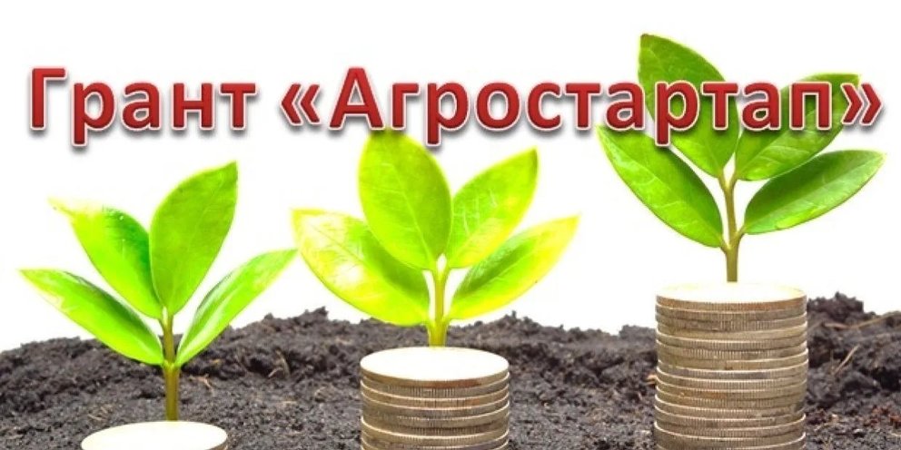 Агростартап грант якутия