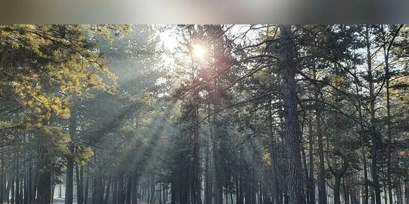 климатические условия. климатическая характеристика москвы. климат москвы таблица. среднемесячная температура зимой в москве. магадан средняя температура.