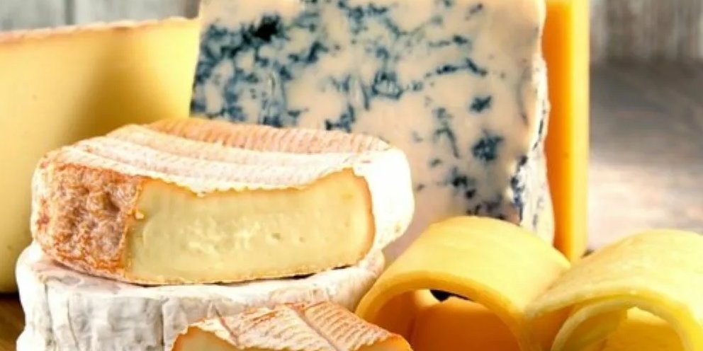 Цитрусовый сыр. Сыр с оранжевой плесенью. Желтая плесень на сыре. Сыр с белой плесенью