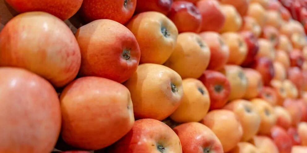 Фруктохранилище для яблок. Яблоки импортные. Яблоки на витрине. Импорт яблок. Яблоки новый урожай.