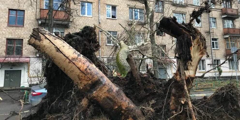 Что такое порывы. Ураган в Екатеринбурге. Ураган в Москве. Сильный ветер Екатеринбург. Ураган деревья.