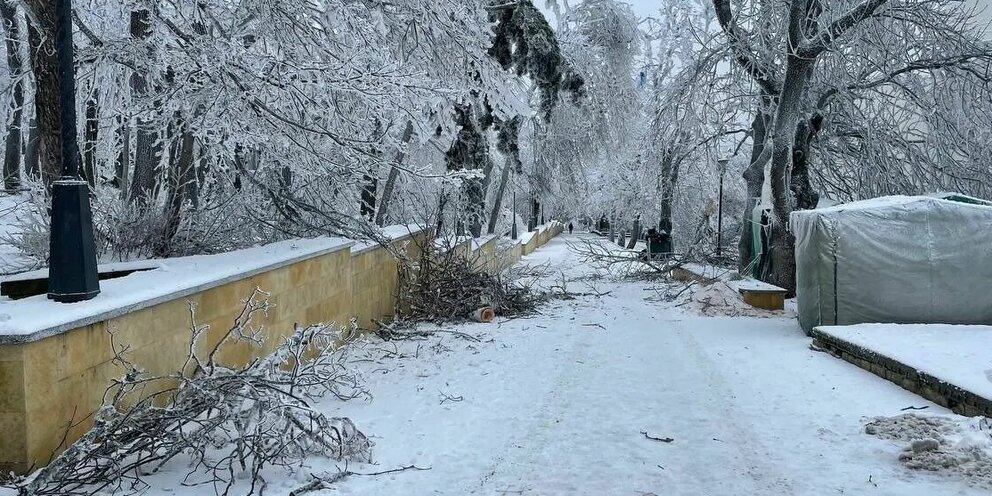 Железноводск парк зимой