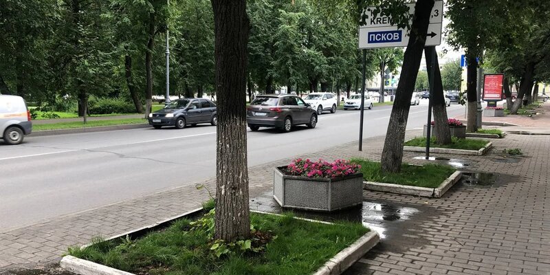 Фото газон великий новгород