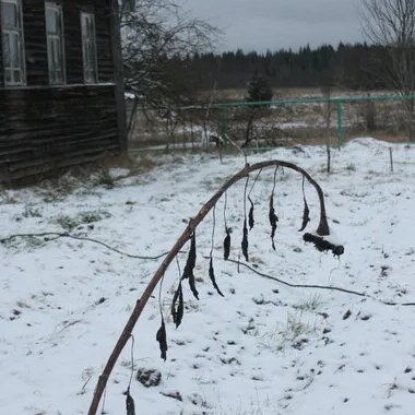 На даче в мае в подмосковье. Дачный кооператив фото. Дача долги. Русская дача некрасивая. Дача долги.