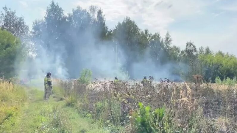 Экопарк республика мордовия саранск моховая улица фото В Саранске потушили сухую траву в районе Экопарка: Яндекс.Новости