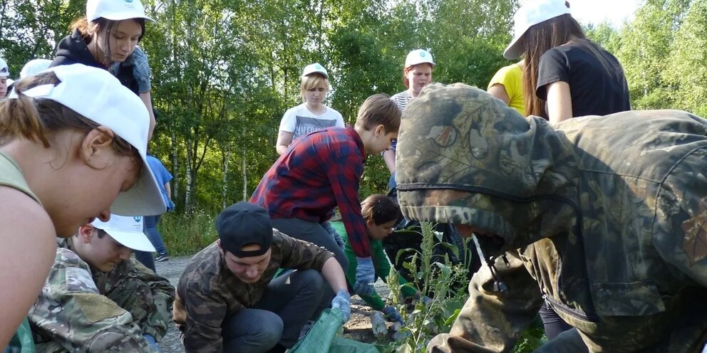 Завалить ли. Издревая комплекс