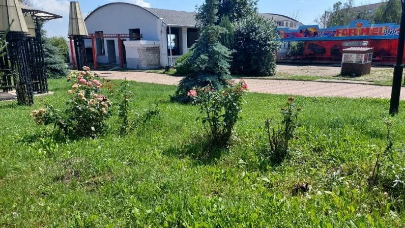 Парк 1 мая курск. Парковая 16 курск. Парк на парковой курск. Первомайский парк курск. Первомайский парк курск история.