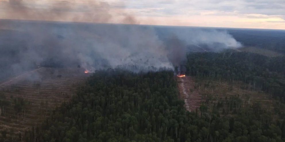 Карта лесных пожаров красноярского