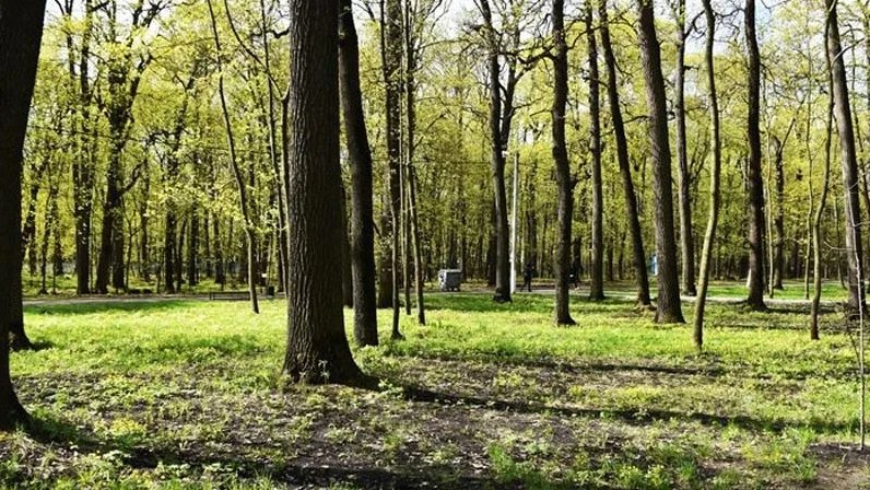 Карта олимпийской аллеи в пензе