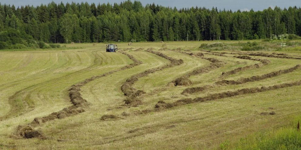 Карта земель сельхозназначения ленинградской области