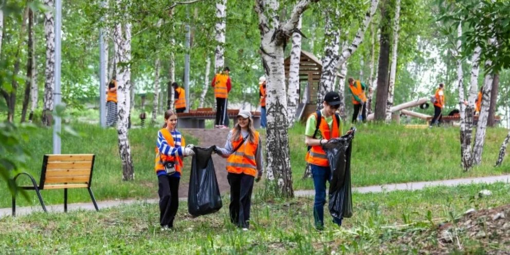 Проект по трудоустройству молодежи