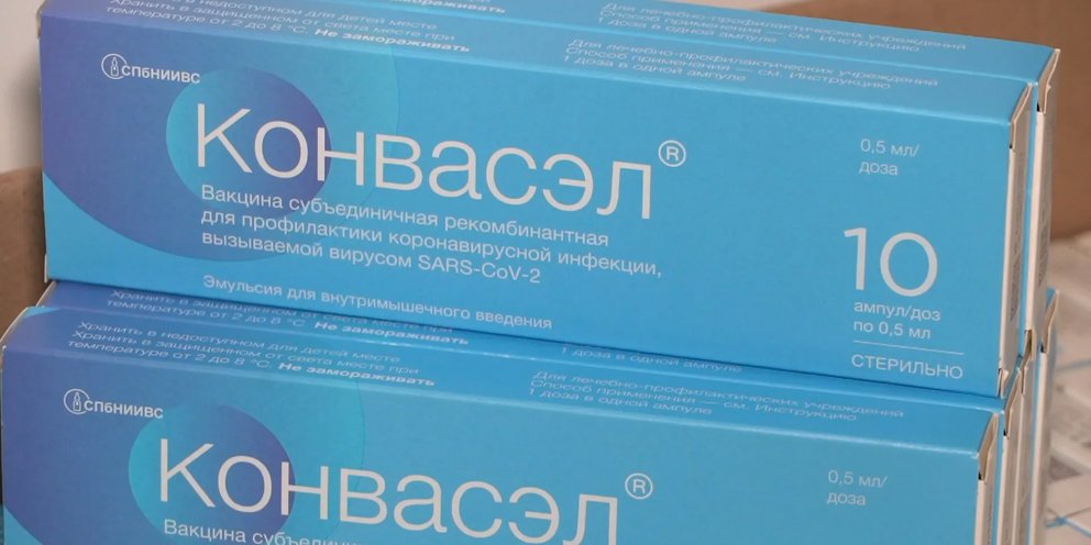 Конвасэл. Конвасэл вакцина. Конвасэл инструкция