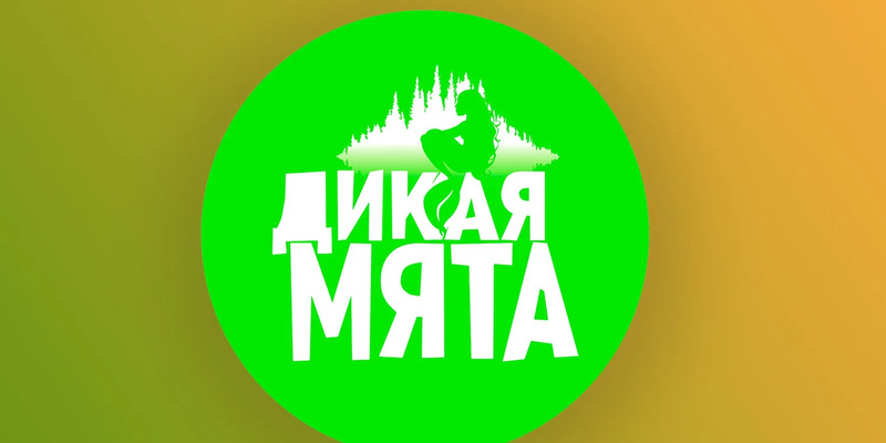 Дикая мята туалеты