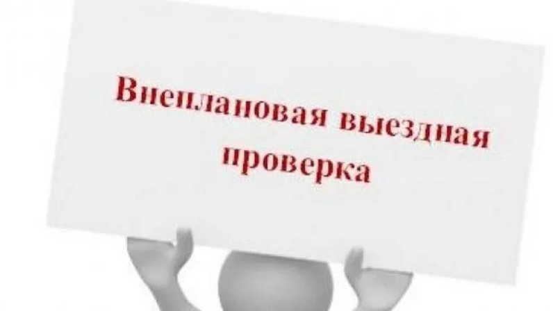камеральная и выездная таможенная проверка. виды камеральной таможенной проверки. сотрудник мчс проверяет. запланированы выезда. запланированы выезда.