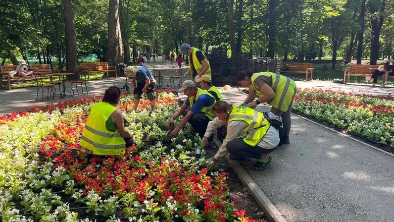 План гагаринского парка в симферополе