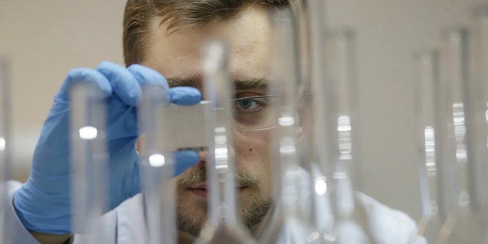 Норникель стратегическая сессия июнь 2022. Размер стипендии для студентов вузов. Студенты медколледж в столовой. Стипендиат губернаторской премии белгородской области. Сертификат конкурса.