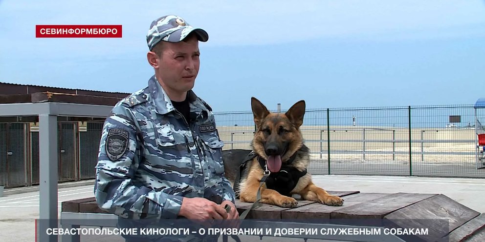 Бизнес план кинологического центра для собак