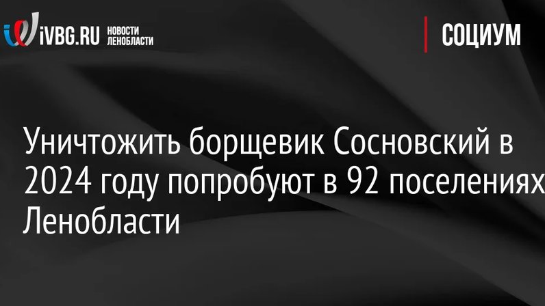 План работы сельского поселения на 2023 год