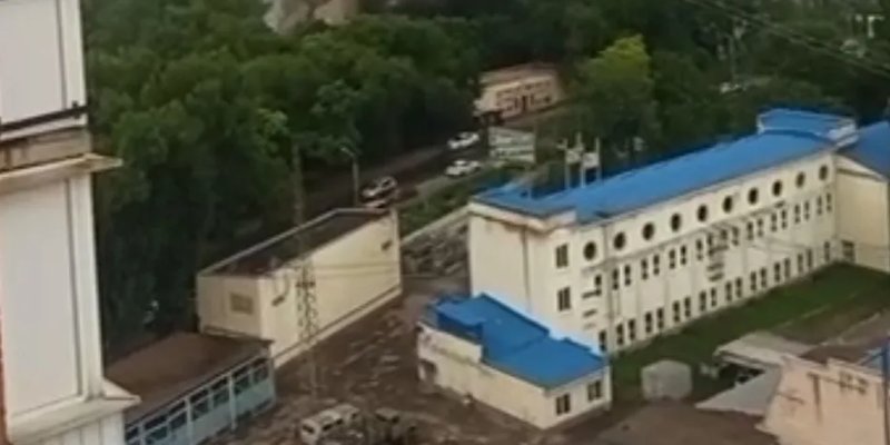Пожар в зоопарке Ростова-на-Дону: срочно спасают животных