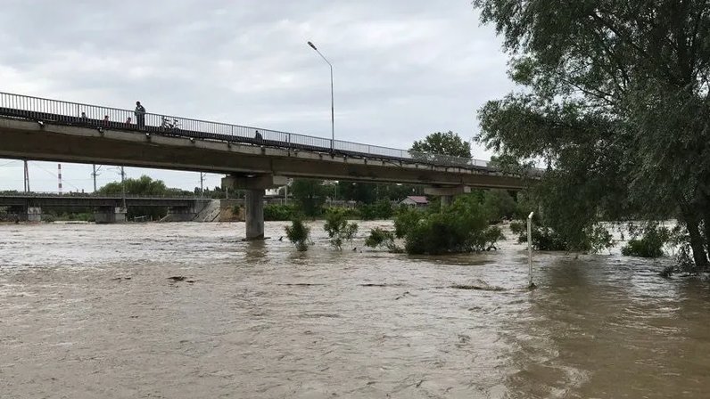 Река кубань сегодня