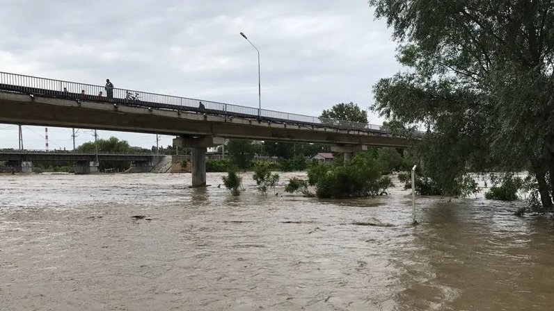 Кубань уровень воды в реке сегодня краснодар