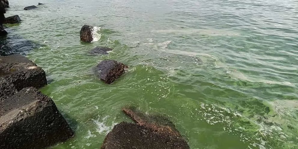 Фото что творится на черном море