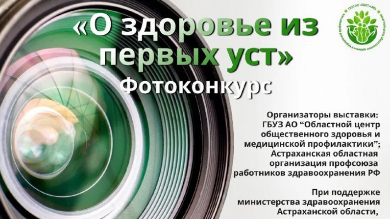 Высказывания о проекте
