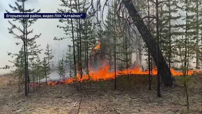 Карта пожаров хмао онлайн