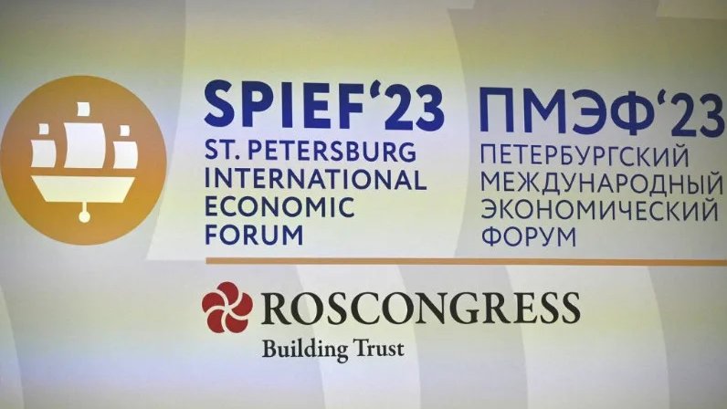 План заря в мвд что означает