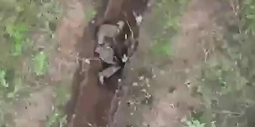 Парень отбрасывает гранаты в окопе. Украинский квадрокоптер с гранатой. Откидывает гранаты от дрона. Откидывает гранаты от дрона. Беспилотники сбрасывающие гранаты.