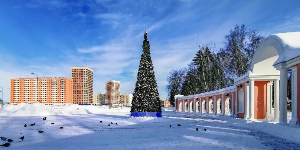 Губернский парк чехов. Губернский парк Калуга фото. Парк Губернский Кострома. Губернский парк Калуга пруд.