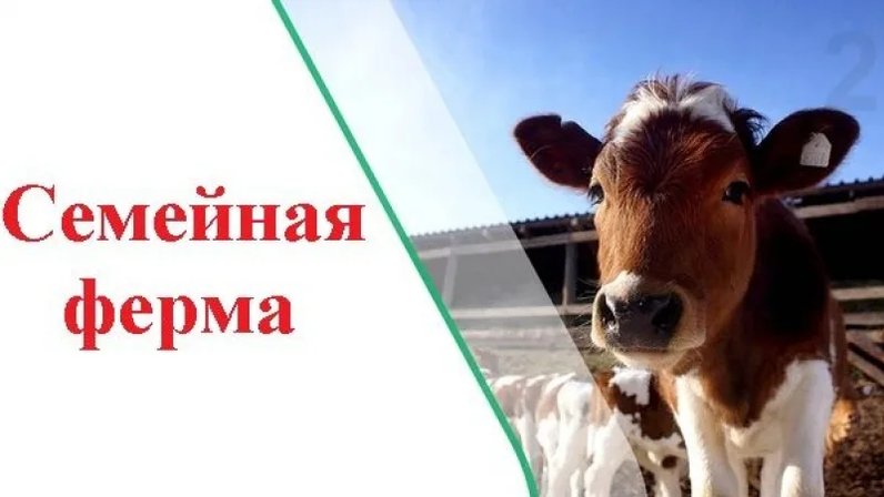 Грант на реализацию проектов развития семейных ферм