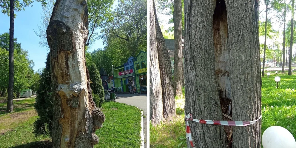 В парке им горького